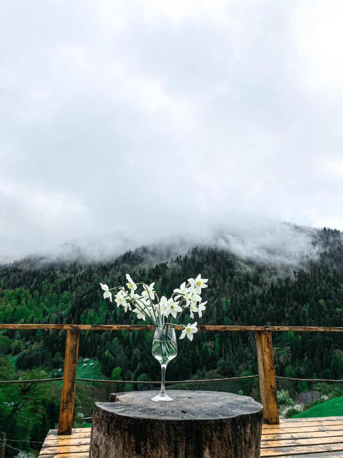 Mitarbi Silence - Cozy Holiday Cottages In Mountains Borjomi ภายนอก รูปภาพ
