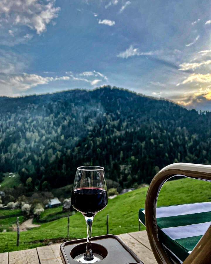 Mitarbi Silence - Cozy Holiday Cottages In Mountains Borjomi ภายนอก รูปภาพ