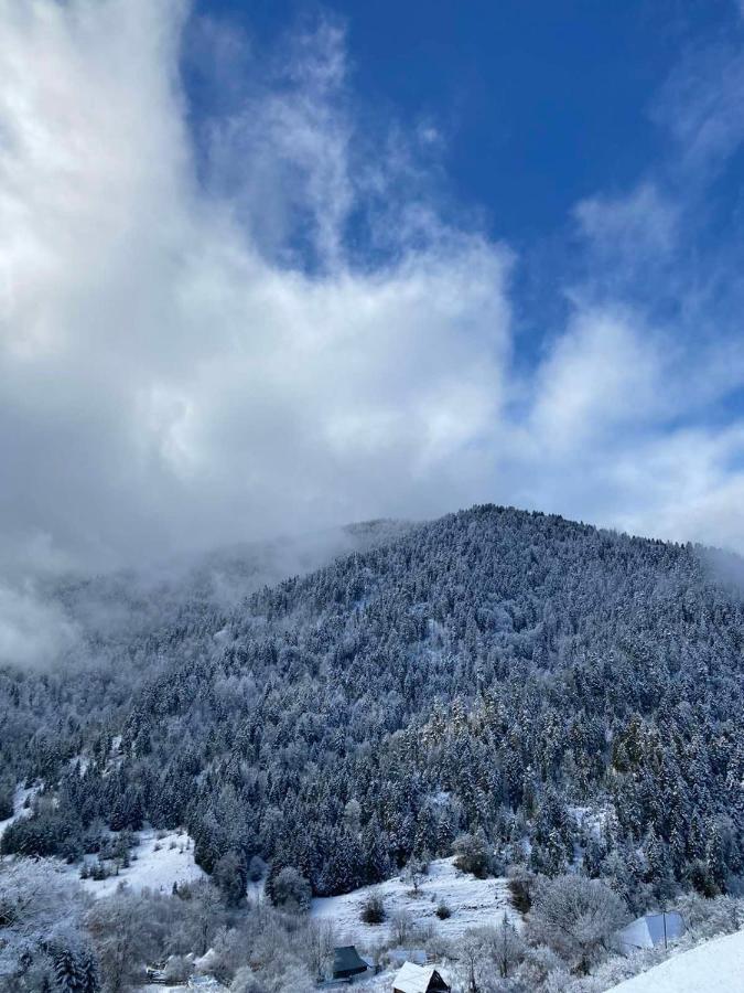 Mitarbi Silence - Cozy Holiday Cottages In Mountains Borjomi ภายนอก รูปภาพ