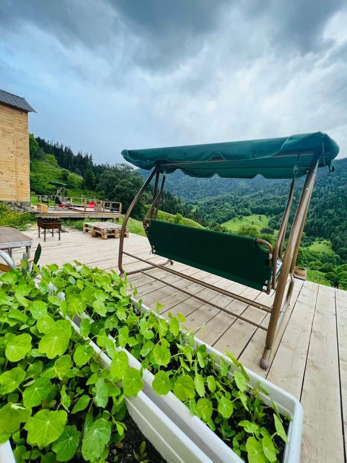 Mitarbi Silence - Cozy Holiday Cottages In Mountains Borjomi ภายนอก รูปภาพ