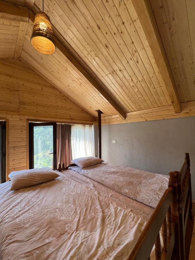 Mitarbi Silence - Cozy Holiday Cottages In Mountains Borjomi ภายนอก รูปภาพ