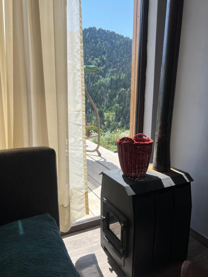 Mitarbi Silence - Cozy Holiday Cottages In Mountains Borjomi ภายนอก รูปภาพ