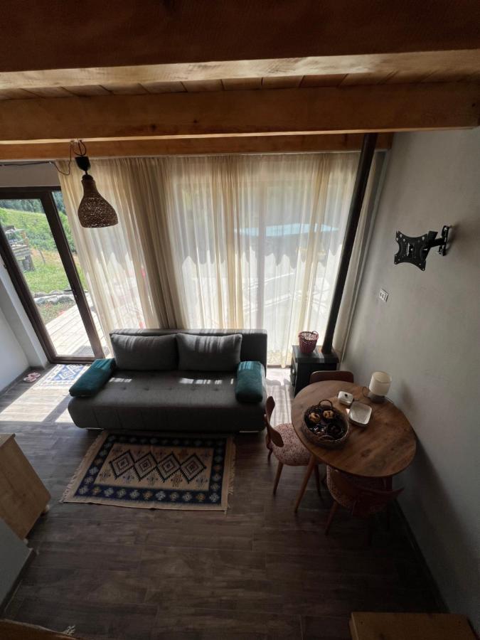 Mitarbi Silence - Cozy Holiday Cottages In Mountains Borjomi ภายนอก รูปภาพ