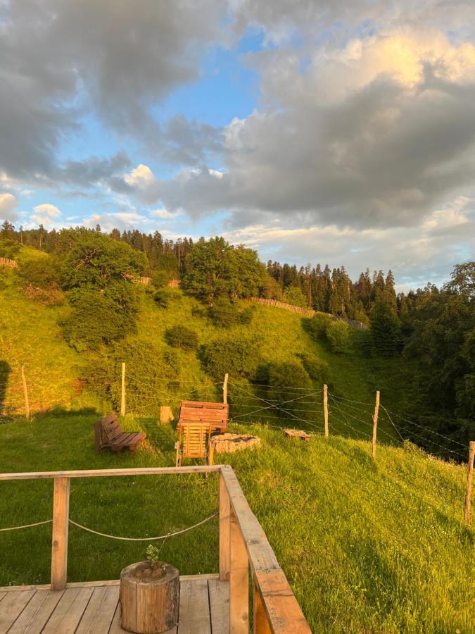 Mitarbi Silence - Cozy Holiday Cottages In Mountains Borjomi ภายนอก รูปภาพ