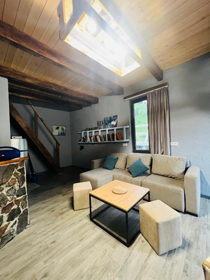 Mitarbi Silence - Cozy Holiday Cottages In Mountains Borjomi ภายนอก รูปภาพ