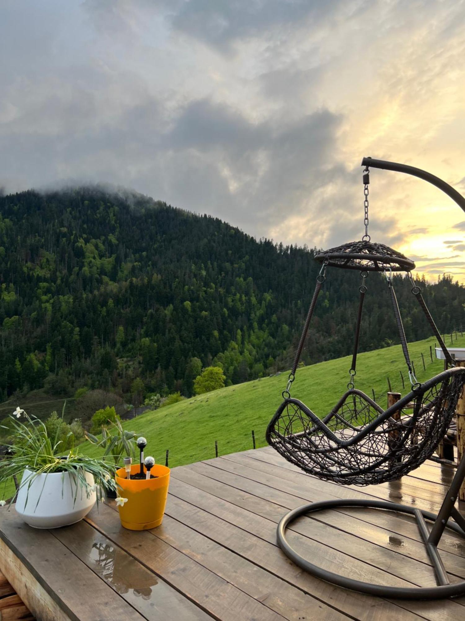 Mitarbi Silence - Cozy Holiday Cottages In Mountains Borjomi ภายนอก รูปภาพ
